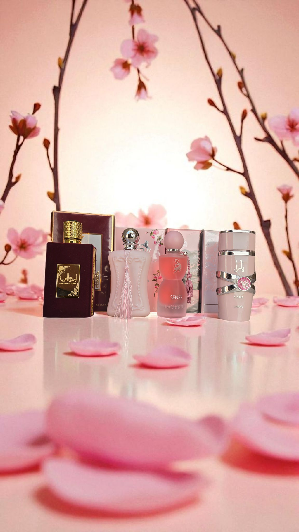 Collection Parfum Pour Femme™